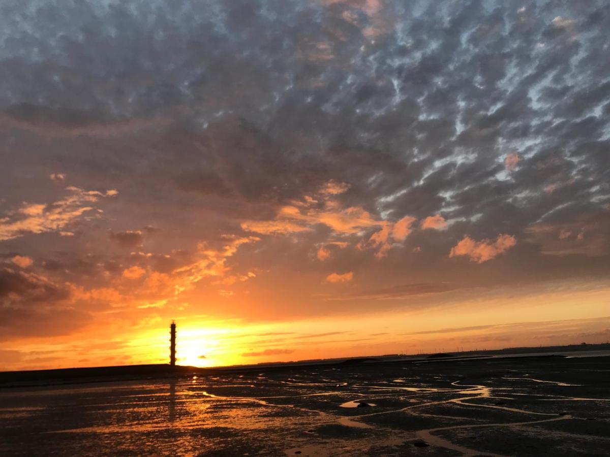 Artistiek Vakantiehuisje Hulst Esterno foto