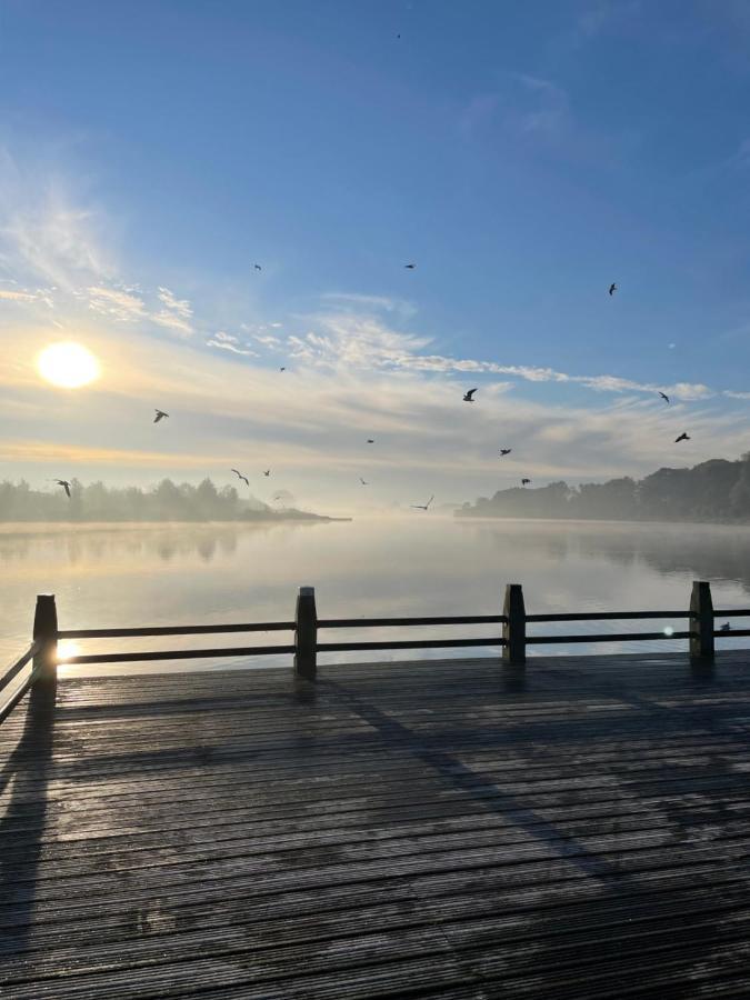 Artistiek Vakantiehuisje Hulst Esterno foto