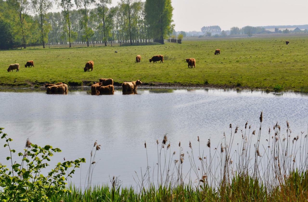 Artistiek Vakantiehuisje Hulst Esterno foto