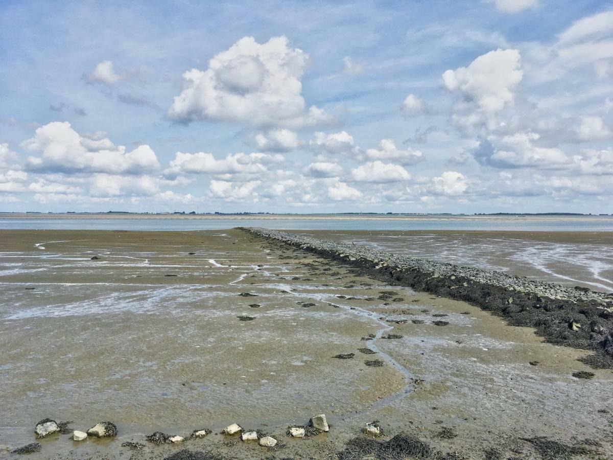Artistiek Vakantiehuisje Hulst Esterno foto