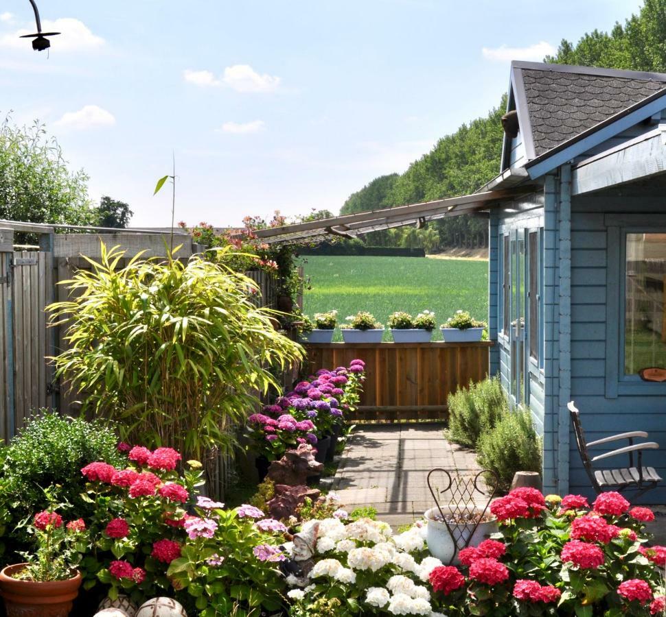 Artistiek Vakantiehuisje Hulst Esterno foto