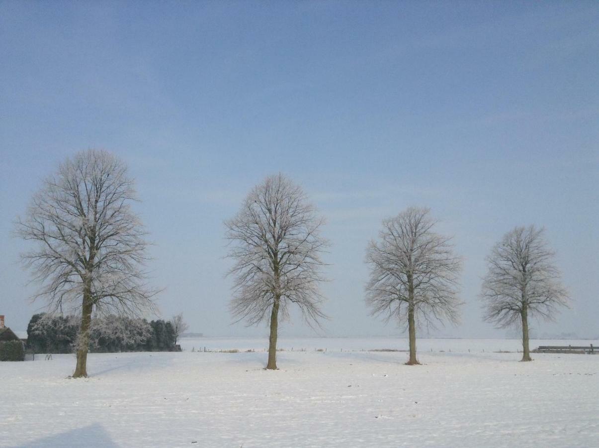 Artistiek Vakantiehuisje Hulst Esterno foto